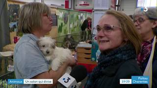 Salon du chiot  Poitiers [upl. by Kelcey453]