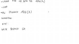 Signaling Pathways of Endocrine Hormones First Aid USMLE Step 1 [upl. by Airahs]