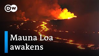 Mauna Loa volcano eruption threatens busy Hawaii highway  DW News [upl. by Kalikow291]