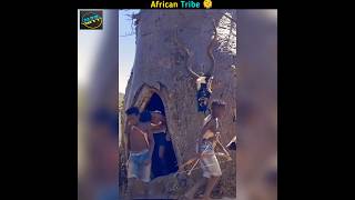 African Tribe facts 🫠trendingshorts viralshort facts shorts FactsMine [upl. by Rehpotsihc]