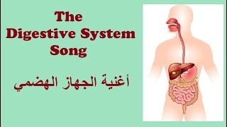 The Digestive System Song أغنية الجهاز الهضمي [upl. by Weihs947]