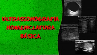 Videoaula RADIOLOGIA Nomenclatura ultrassonográfica básica [upl. by Lona]