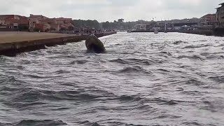 GRANDIOSE MERCI POUR LE SPECTACLE à LA PASSE DU BOUCAROT AU GOUF DE CAPBRETON [upl. by Alverta398]