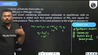 Ammonium carbamate dissociates as NH2COONH4 s 2NH3 gCO2 g In a clos [upl. by Julian]