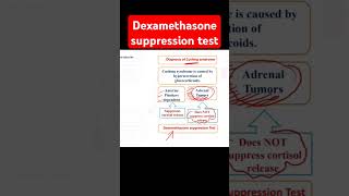 Dexamethasone suppression test [upl. by Niles]