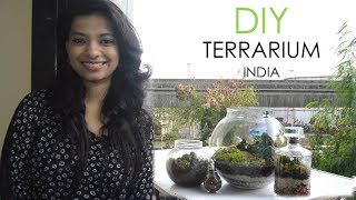 Terrarium DIY India l Miniature garden in glass bowl l Indoor closed terrarium basics l Ask Iosis [upl. by Akcirre384]