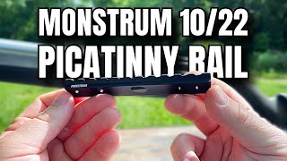 Budget Monstrum Picatinny Rail for Ruger 1022 [upl. by Adnohs]