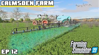 TODAY IS THE BIG DAY  Calmsden Farm  Farming Simulator 22  Episode 12 [upl. by Brittaney]