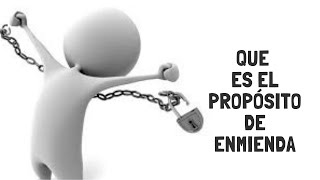 que es el propósito de enmienda [upl. by Ontina]