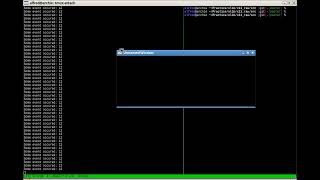 Very basic X11 window from scratch [upl. by Antonino]