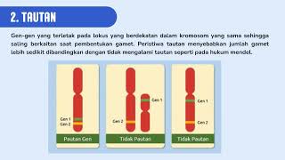 POLA HEREDITASDewi DiharjoK4321025Video Kreatif PLP [upl. by Eurd]