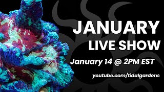 Tidal Gardens January 2023 Live Show [upl. by Eelegna]