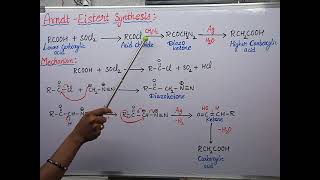 ArndtEisterst Synthesis reaction with mechanism [upl. by Chrystel]