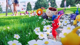 Pikmin Bloom Game Overview [upl. by Saito]