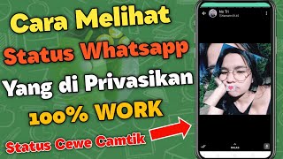 Cara Melihat Status orang yang di Privasi ke kita [upl. by Yniattirb]