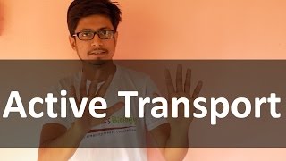 Active transport  Membrane transport lecture [upl. by Elset893]