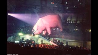 Pink Floyd LIVE  Paris France 1977  SHEEP  Animals Tour [upl. by Imhskal]