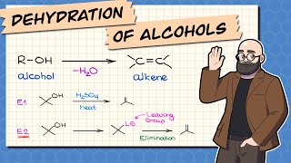 Dehydration of Alcohols  Synthesis of Alkenes [upl. by Kenneth]