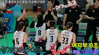 정관장 VS IBK기업은행 하이라이트 여자프로배구 [upl. by Obla305]