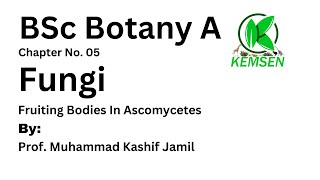 Fruiting Bodies In Ascomycetes I Botany A I Chapter No 05 I KEMSEN [upl. by Lsil]