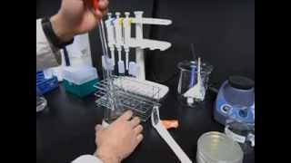 製備連續稀釋用之 01 peptone water Dispensing 01 peptone water into tubes for serial dilution [upl. by Ahsienroc]