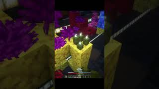 sea pickles vibe minecrafthardcore coral minecraft121 livestream aquarium seapickles [upl. by Yahsat]