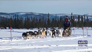 Iditarod favorites check in from Cripple [upl. by Ycak]