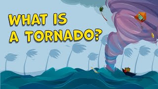 What is a Tornado How is a Tornado Formed Tornado Facts  Tornado Facts for Kids  Tornados [upl. by Hobbie]