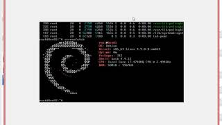 DenOS HowTo create your own Debian Distribution in 10 Minutes with Debootstrap [upl. by Nancey839]