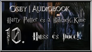 Harry Potter és a Bölcsek Köve hangoskönyv  10 fejezet [upl. by Rebma]