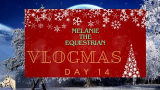 Advent Calendar Puzzle 14Horses amp Barn Cats In The Month Of November 2023 Vlogmas Day 14 [upl. by Monahan809]