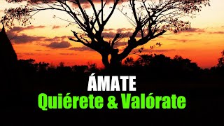 Ámate Quiérete y Valórate ¦ Gratitud Frases Reflexiones Versos Reflexión [upl. by Wernick]