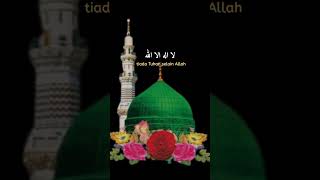 Daily Zikr La ilaha illallah  Islamic video in urdu  islamicstoriesam [upl. by Adnam]