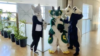 【ケモノ着ぐるみ】公民館オフ ダイジェスト Kemono Fursuit Off Party fursuitFriday fursuitEveryday [upl. by Andryc]