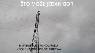 Što može jedan bor [upl. by Swec]