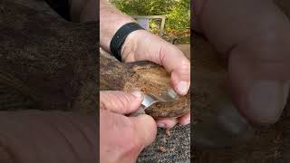 Very old piece of spalted wood  serving spoon youtubehighfive youtubecreators [upl. by Daron]