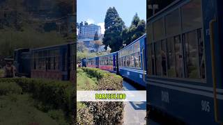 Discover the breathtaking beauty of Darjeelings rolling tea gardens and misty mountains travel [upl. by Eliath]