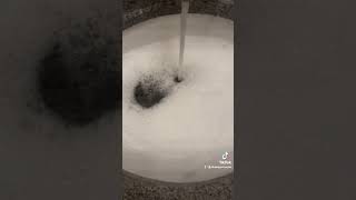 Lemon lavender amazing combo  sink cleaning sponge squeezing asmr [upl. by Masuh]