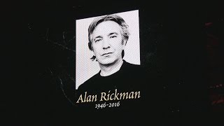 Potter cast remember Alan Rickman at A Celebration of Harry Potter [upl. by Eirret523]