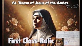 What Makes St Teresa of Jesus of the Andes So Special [upl. by Judson]