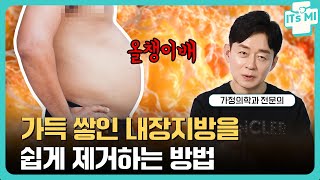 내장지방 올챙이배를 없애는 가장 현실적인 방법  다이어트 전문가 박용우 박사 EP16 [upl. by Ateekahs]