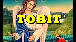 The Book of Tobit 📚 All chapters 🕎 [upl. by Avera885]