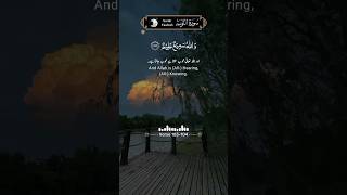 سورة التوبة آیت 103104  Surah AtTawbah  Reciter Fozle Azim  surataubah shorts تلاوت [upl. by Irehc962]