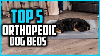 ✅Top 5 Best Orthopedic Dog Beds in 2024 [upl. by Vardon]