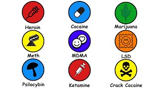 Every Type of Drugs Explained in 3 Minutes [upl. by Dulcine391]