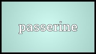 Passerine Meaning [upl. by Elirpa]