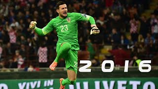 Danijel Subasic 20152016 HD ● Bests Saves ● AS Monaco [upl. by Pelagia]