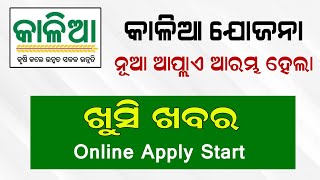 Kalia Yojana New Apply Start  Kalia Yojana New list 2023 Odisha  Kalia Yojana Online Apply [upl. by Uamak]