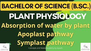 Absorption of water  Apoplast amp Symplast pathway  For BSc students  Academy by Ayushi [upl. by Bouchier488]