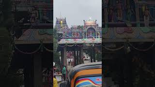 Kundrathur murugan temple devotional kundrathur murugan songs shorts [upl. by Gaeta812]